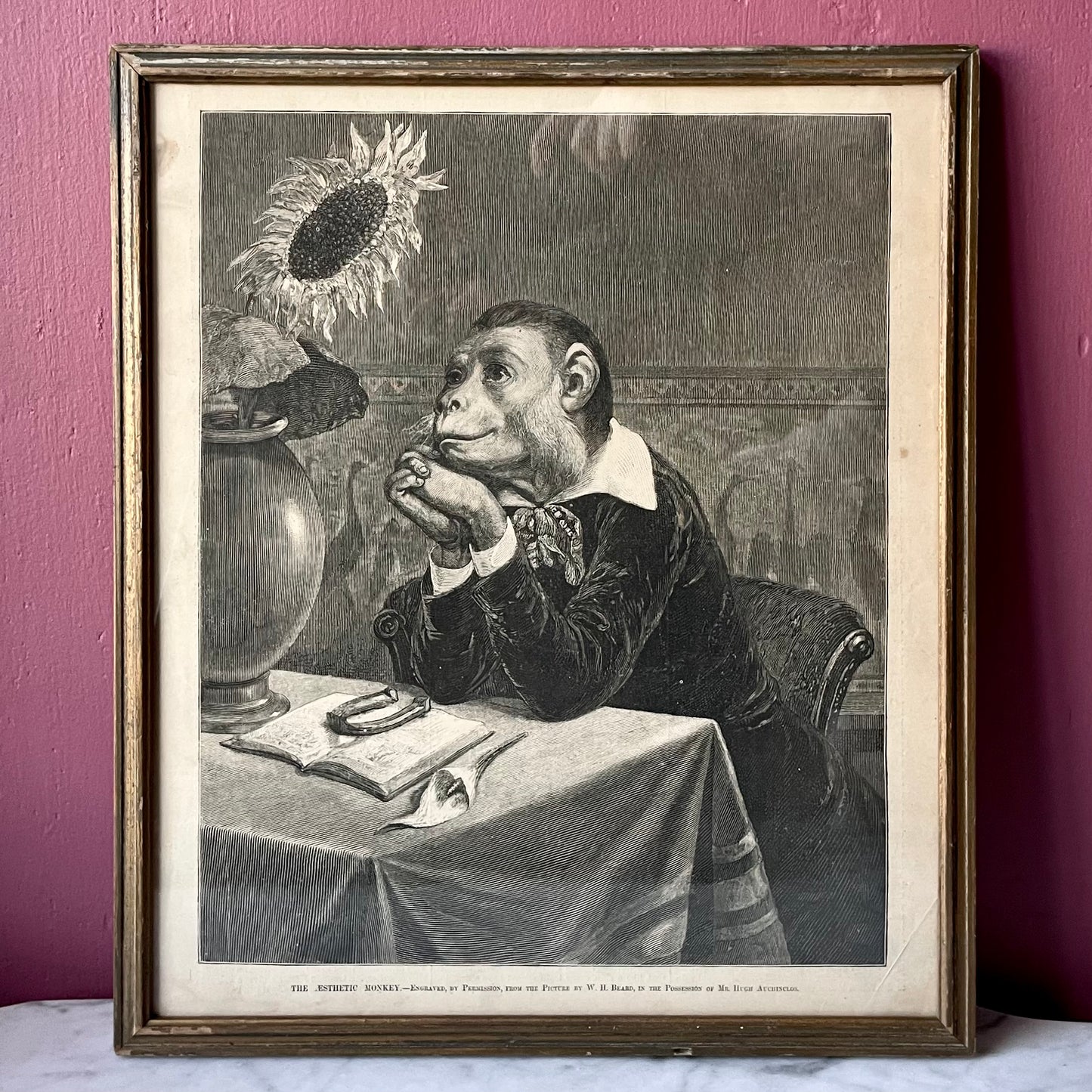 An Aesthetic Monkey | 1882 Cartoon