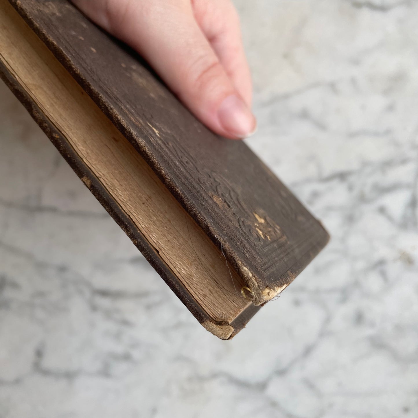 Memoir of Ellen May Woodward | 1852