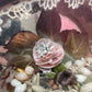 Victorian Floral Shadow Box with Hair, Wool, and Shell Work