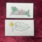 Early Victorian Hand Colored Calling Cards