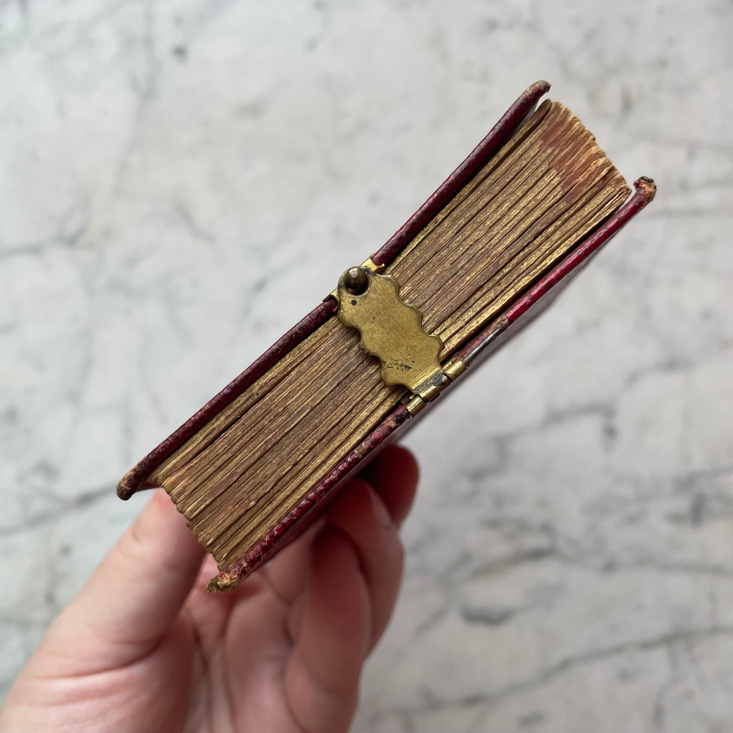 Victorian Gem Tintype Album