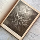 Milton’s Paradise Lost Illustrated by Gustave Doré