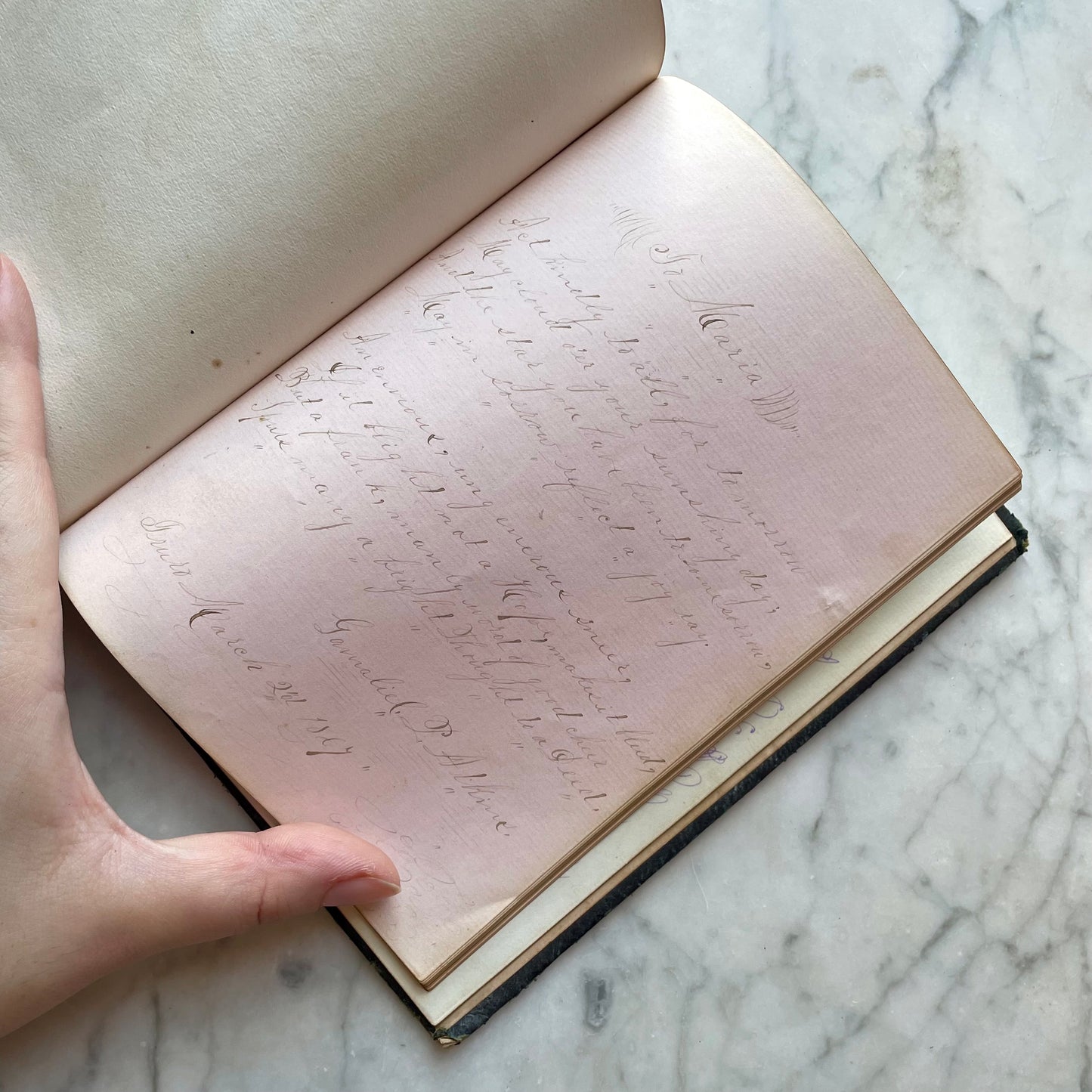 The Rosebud Album | Victorian Autograph Album | 1860s