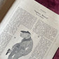 Judge Magazine | Broadway Issue | 1923
