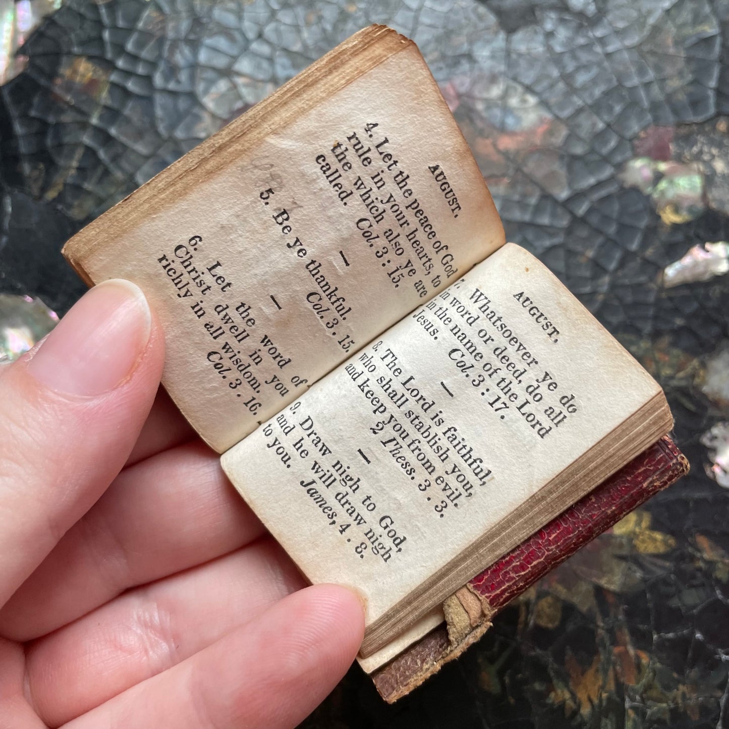 Antique Miniature Book | Dew Drops