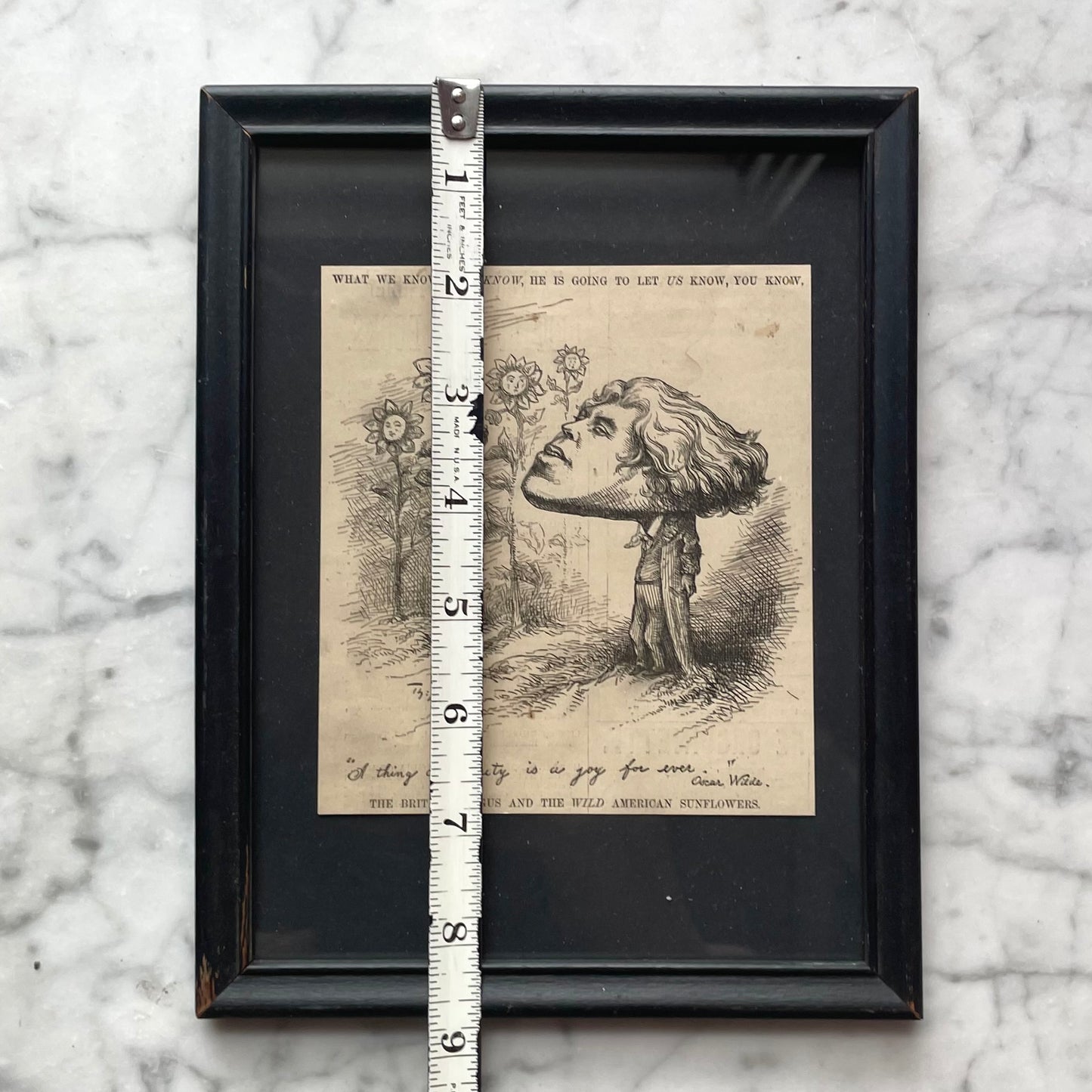 Oscar Wilde Cartoon | Harpers 1882 | A British Fungus Among American Sunflowers
