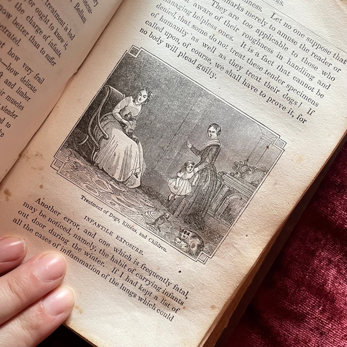 Hints and Helps to Health and Happiness | 1851 | Joel H. Ross, MD