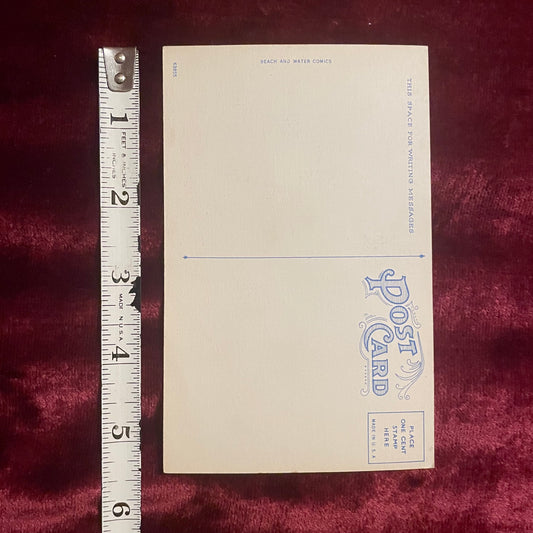 Vintage Postcard | Zaftig Gal