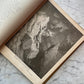 Milton’s Paradise Lost Illustrated by Gustave Doré
