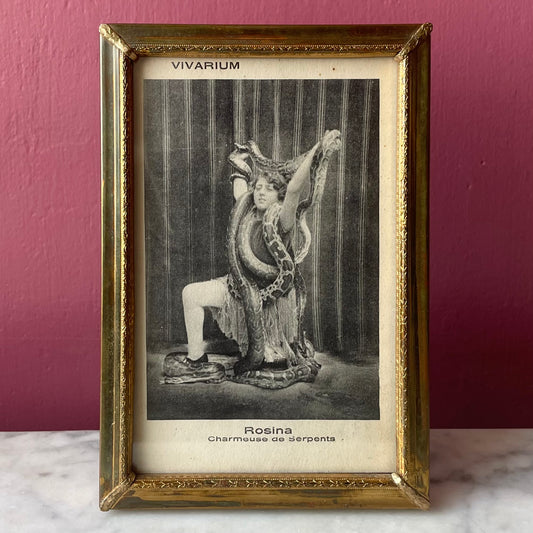 Antique Snake Handler Framed Card