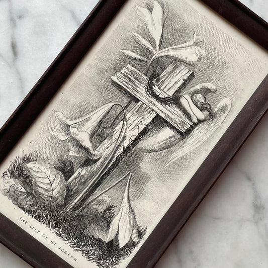 Lily of St. Joseph | Victorian Mourning Print