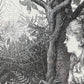 Victorian Spiderweb Engraving