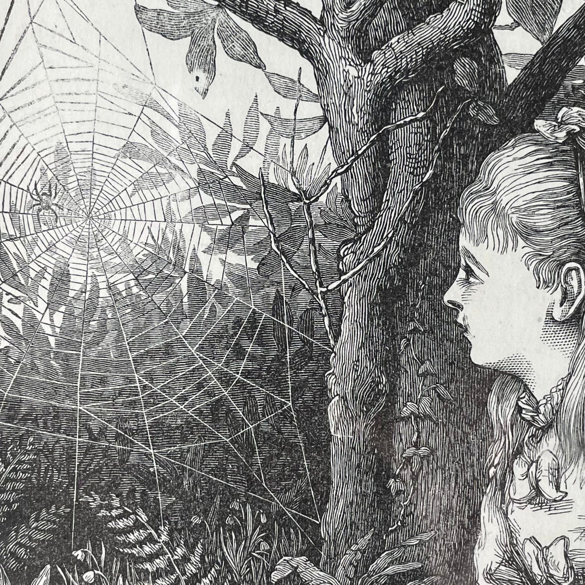 Victorian Spiderweb Engraving