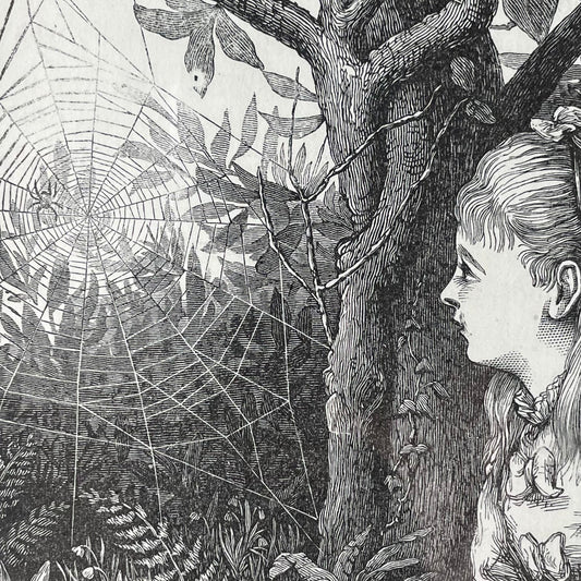 Victorian Spiderweb Engraving
