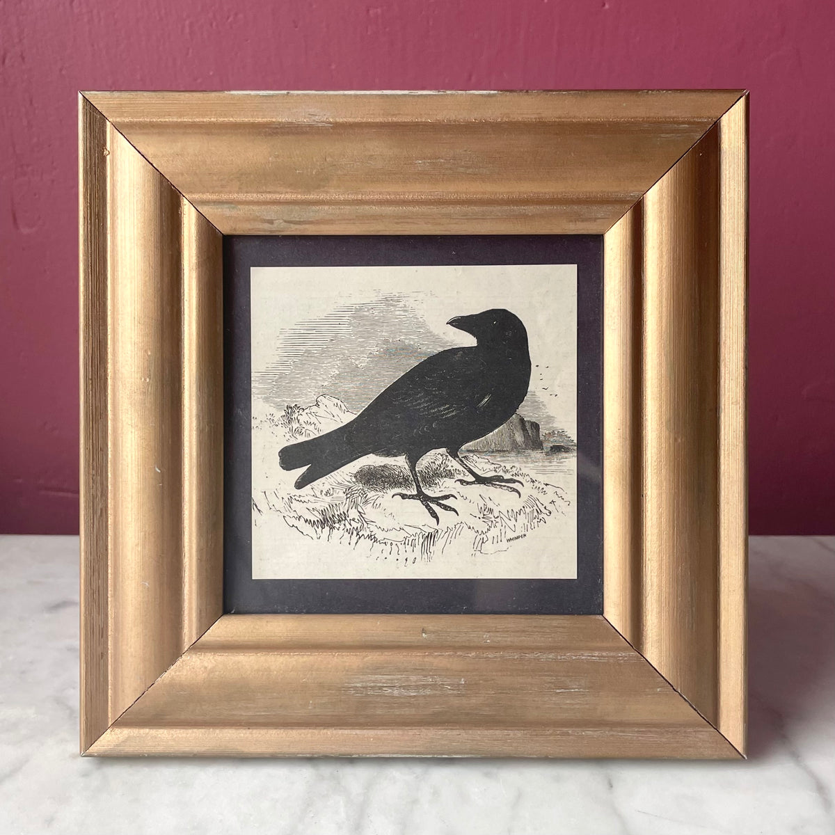 Victorian Crow | Framed Print