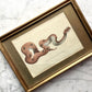 18th Century Snake Print | Saharan Horned Viper
