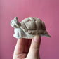 Antique German Erotic Novelty Bisque Turtle