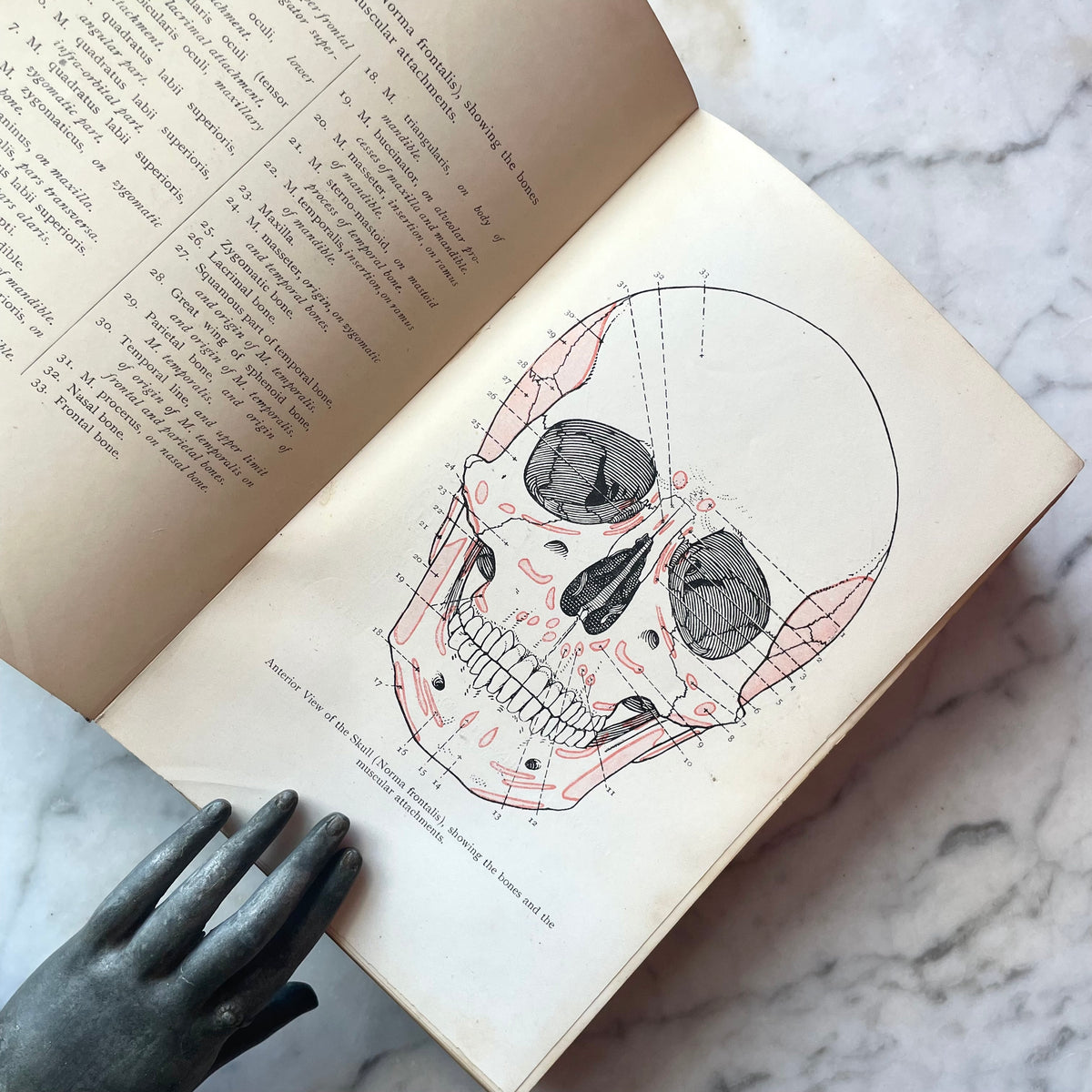 Cunningham’s Manual of Practical Anatomy | Volume III: Head and Neck | 1920
