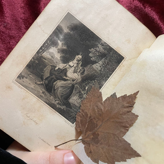 The Token & Atlantic Souvenir, 1840 | Victorian Leatherbound Gift Book