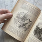Victorian Medical Book | Plain Home Talks | 1858