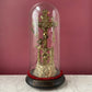 Antique Arma Christi Under Domed Glass