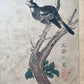 Crepe Myrtle by Wang Ruoshui aka Wang Yuan| Antique Print