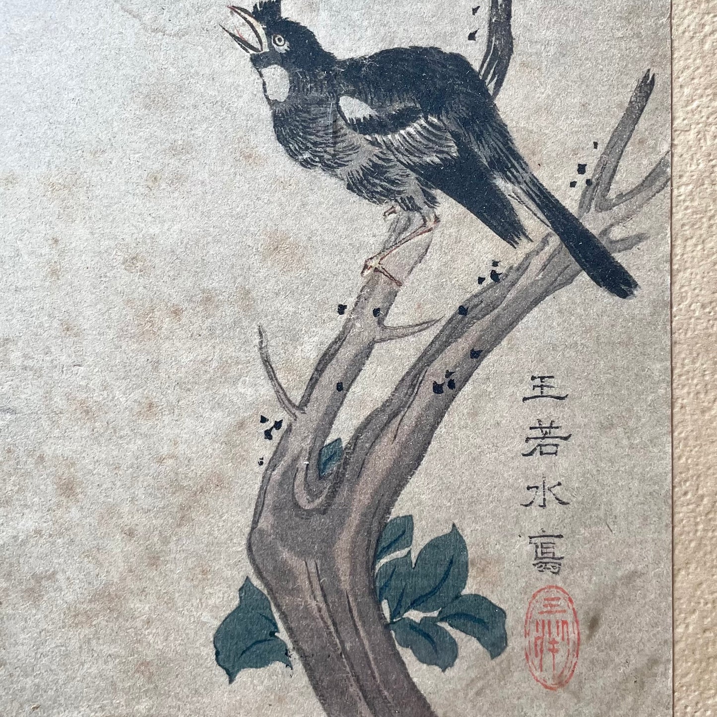 Crepe Myrtle by Wang Ruoshui aka Wang Yuan| Antique Print