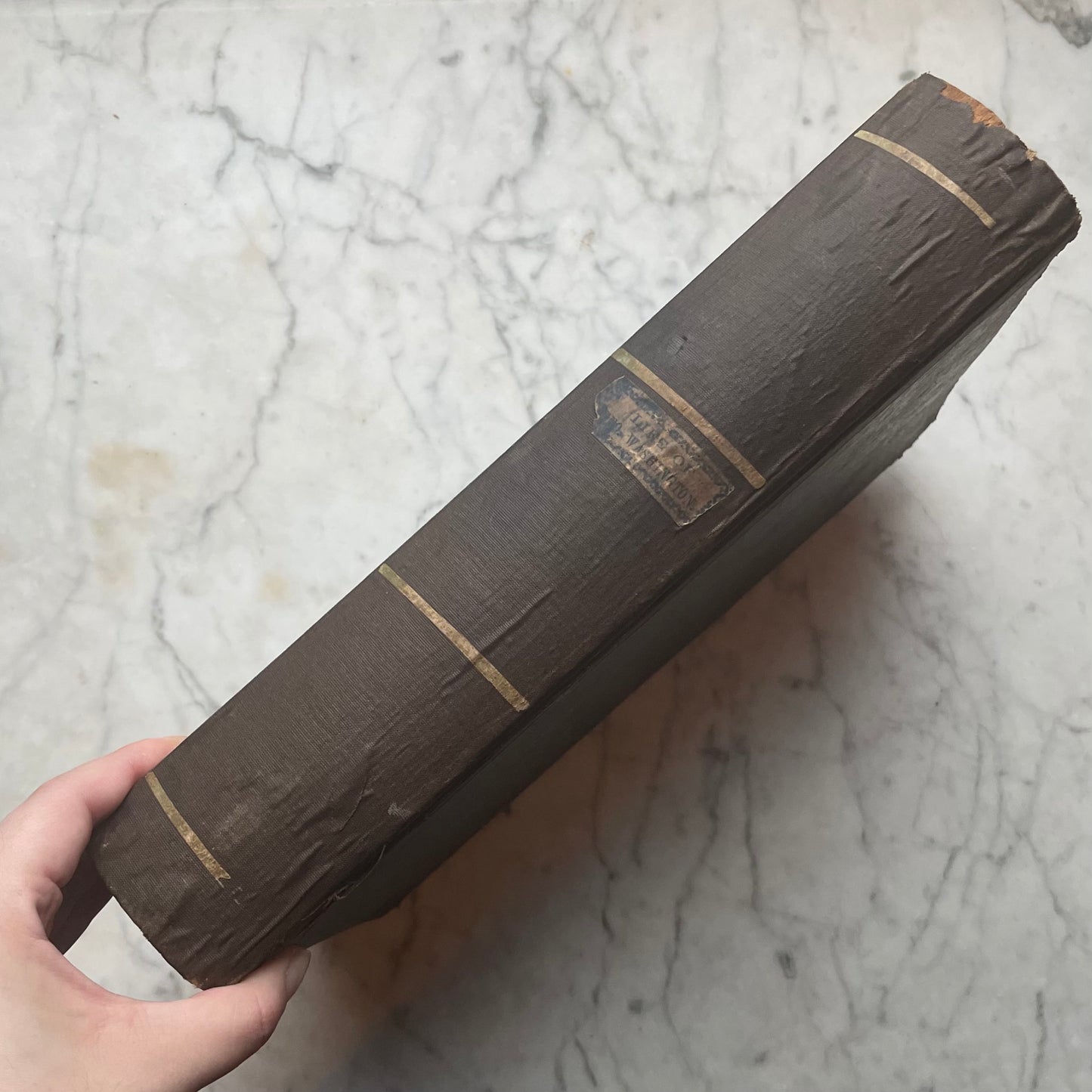Victorian Trompe l’œil Book Shaped Box