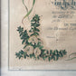 Victorian Marriage Certificate in Original Frame