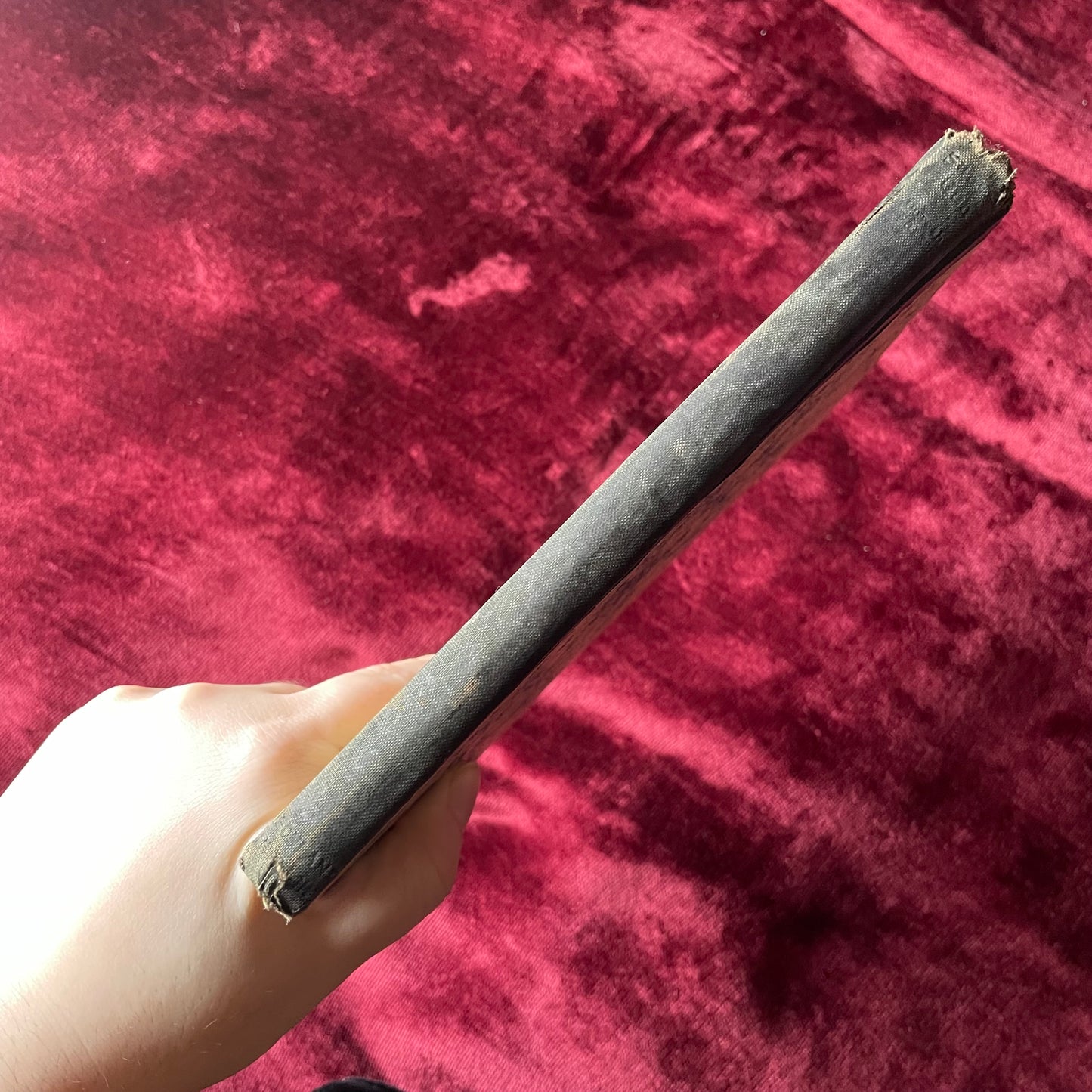 Sunset Gun | Dorothy Parker | 1928