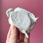 Antique German Erotic Novelty Bisque Turtle