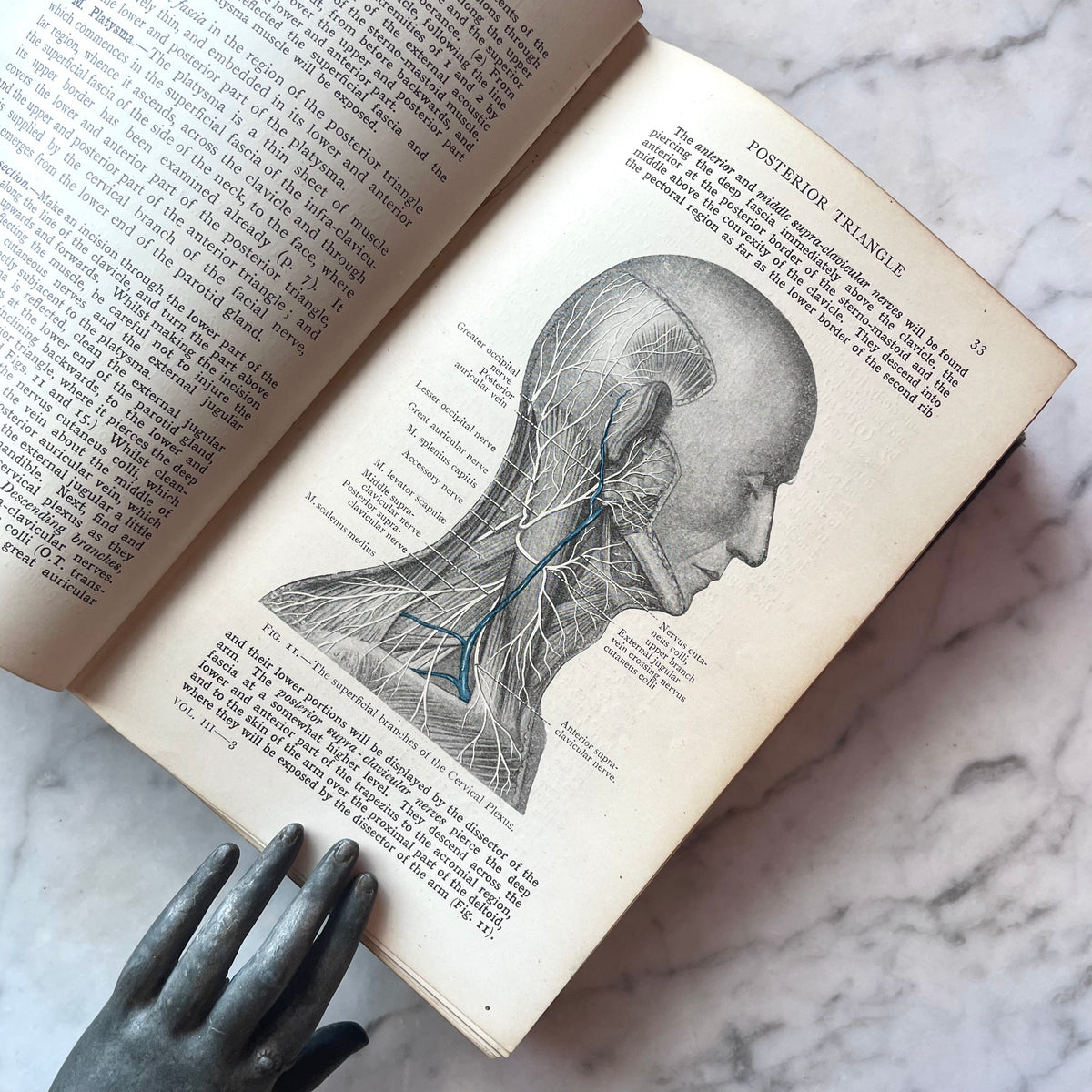 Cunningham’s Manual of Practical Anatomy | Volume III: Head and Neck | 1920