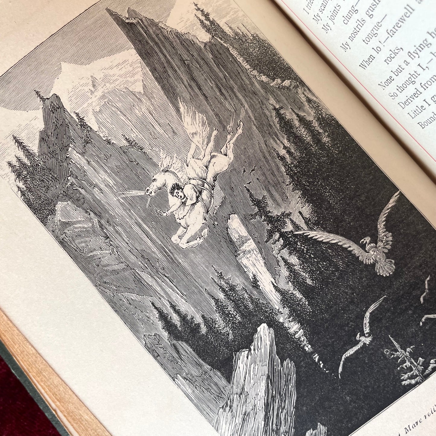 Poems of Thomas Hood | Illustrated by Gustave Doré| Introduction by William Michael Rossetti