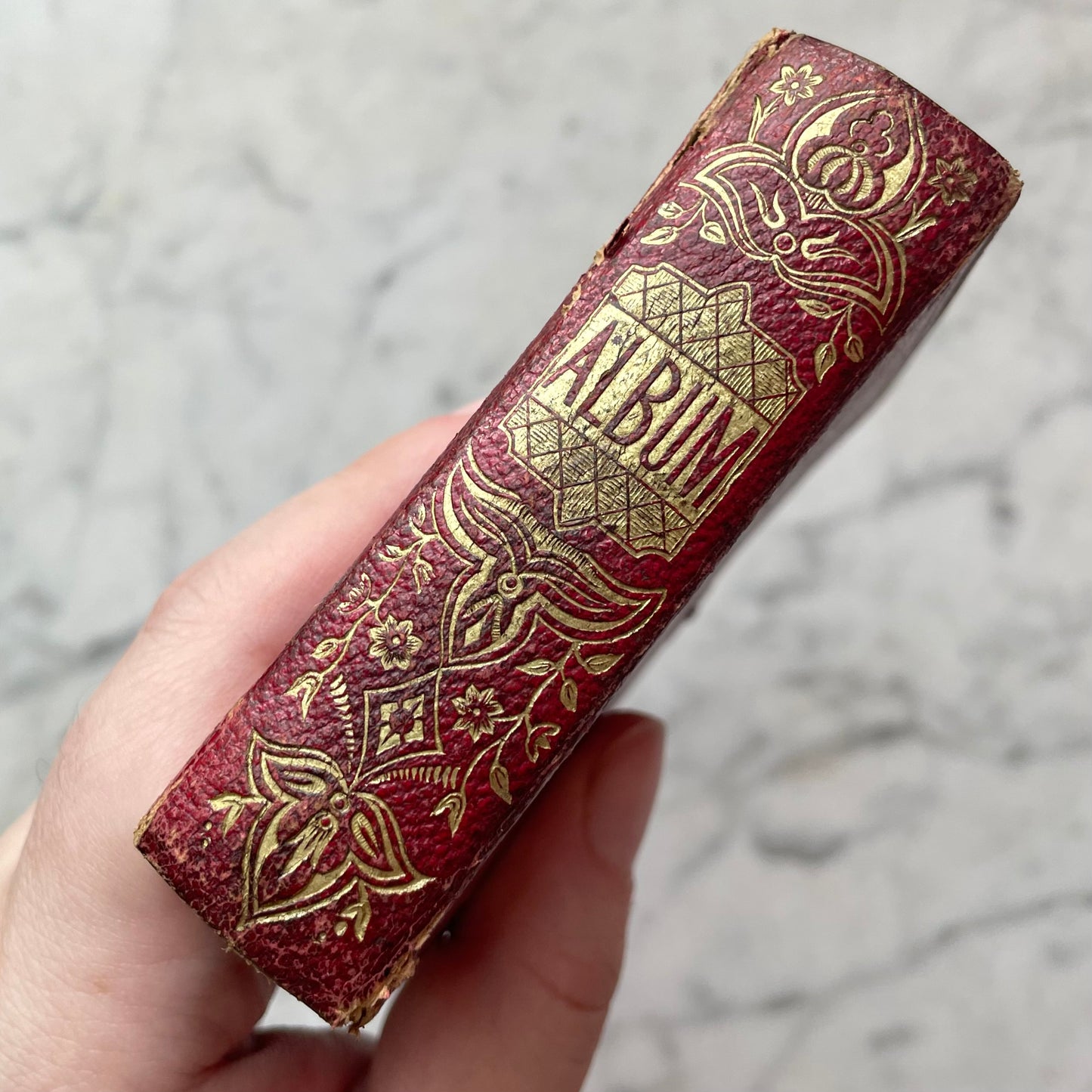 Victorian Gem Tintype Album