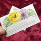 Early Victorian Hand Colored Calling Cards
