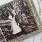 Climbing a Tree | Suggestive Sapphic Stereocard