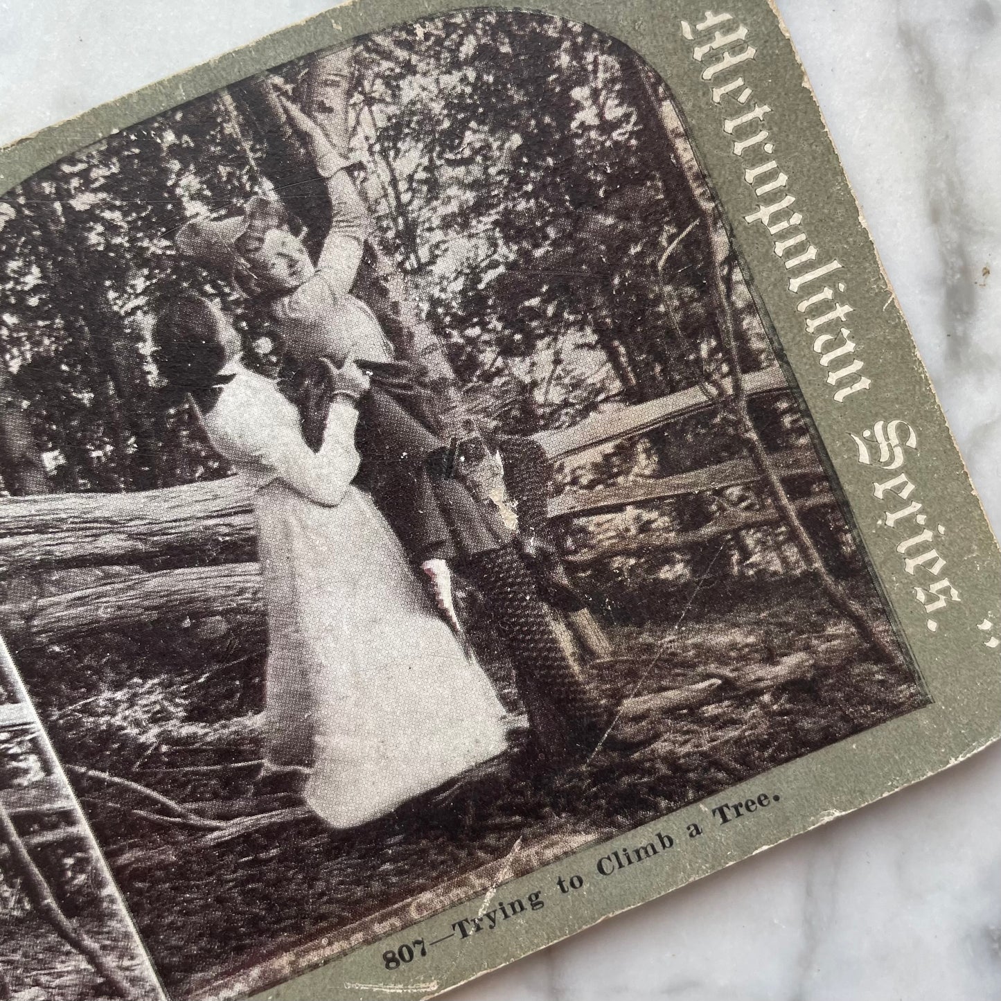 Climbing a Tree | Suggestive Sapphic Stereocard