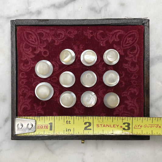 Antique Mother of Pearl Shirt Studs