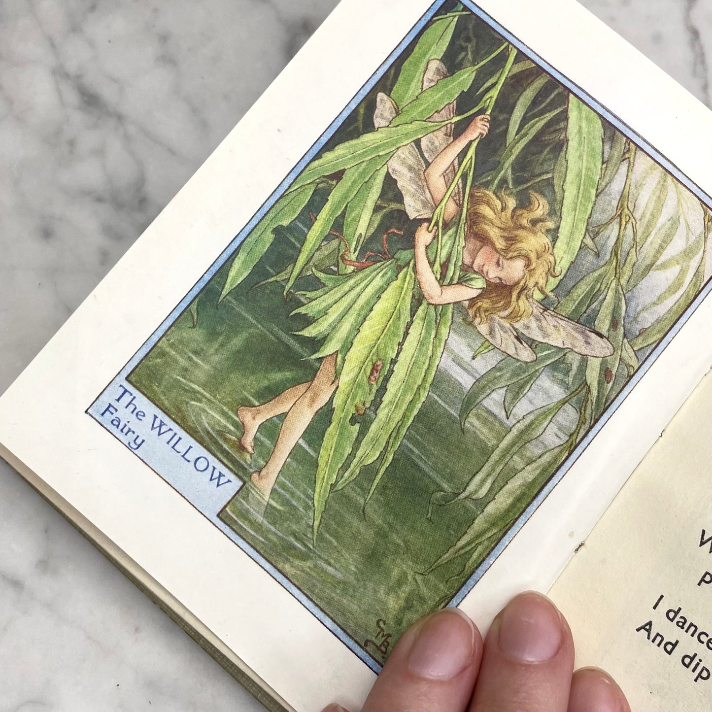 Fairies of the Trees | Cicely Mary Barker