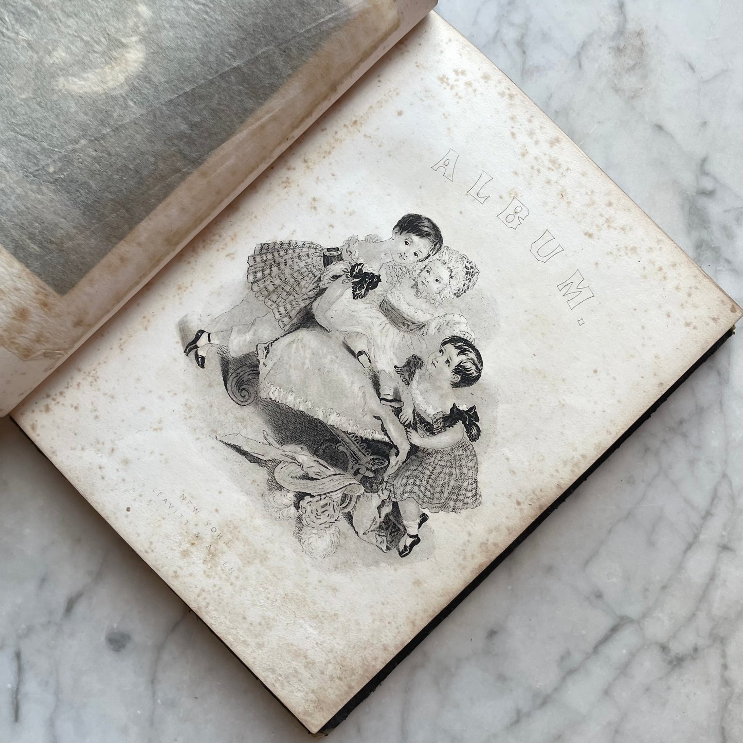 The Rosebud Album | Victorian Autograph Album | 1860s