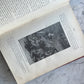 Journées Mémorables | French Art Nouveau Binding