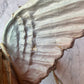 Papier-mâché Angel