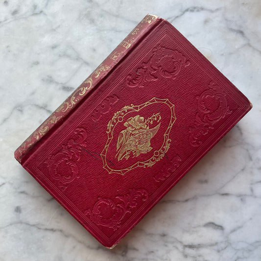 Victorian Book | The Deserted Family