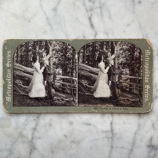 Climbing a Tree | Suggestive Sapphic Stereocard