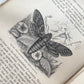 The Insect World | Louis Figuier | 1869