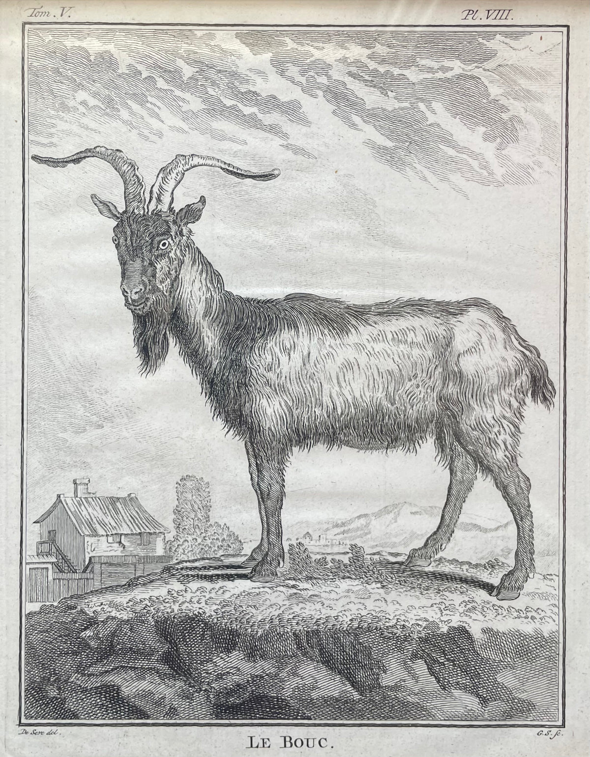 Le bouc | 18th Century Goat Framed Print