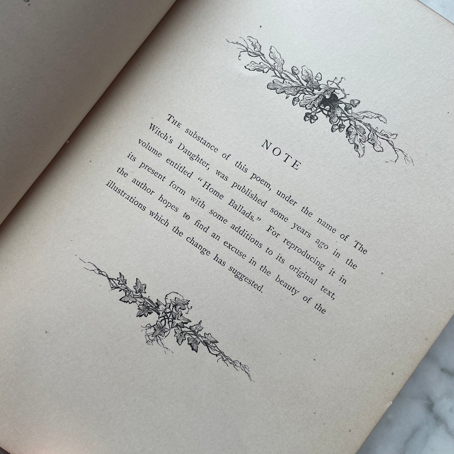 The Witch’s Daughter or Mabel Martin: A Harvest Idyl | Whittier | 1876