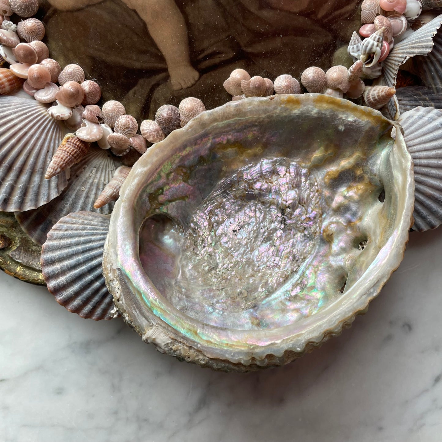 Stella Maris | Vintage Madonna Assemblage with Seashells