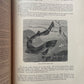 Animate Creation: Popular Edition of "Our Living World," A Natural History | 1890s
