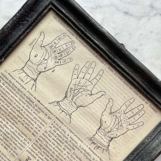 Antique French Palmistry Print